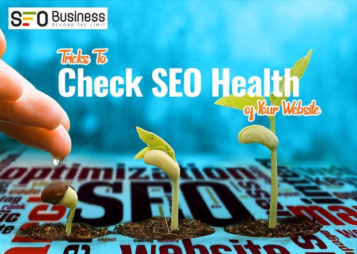 Website Seo Health