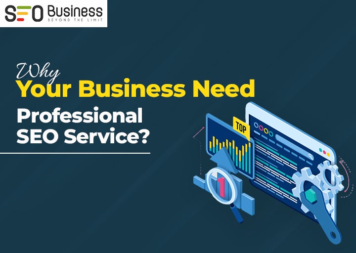 Professional Seo Services